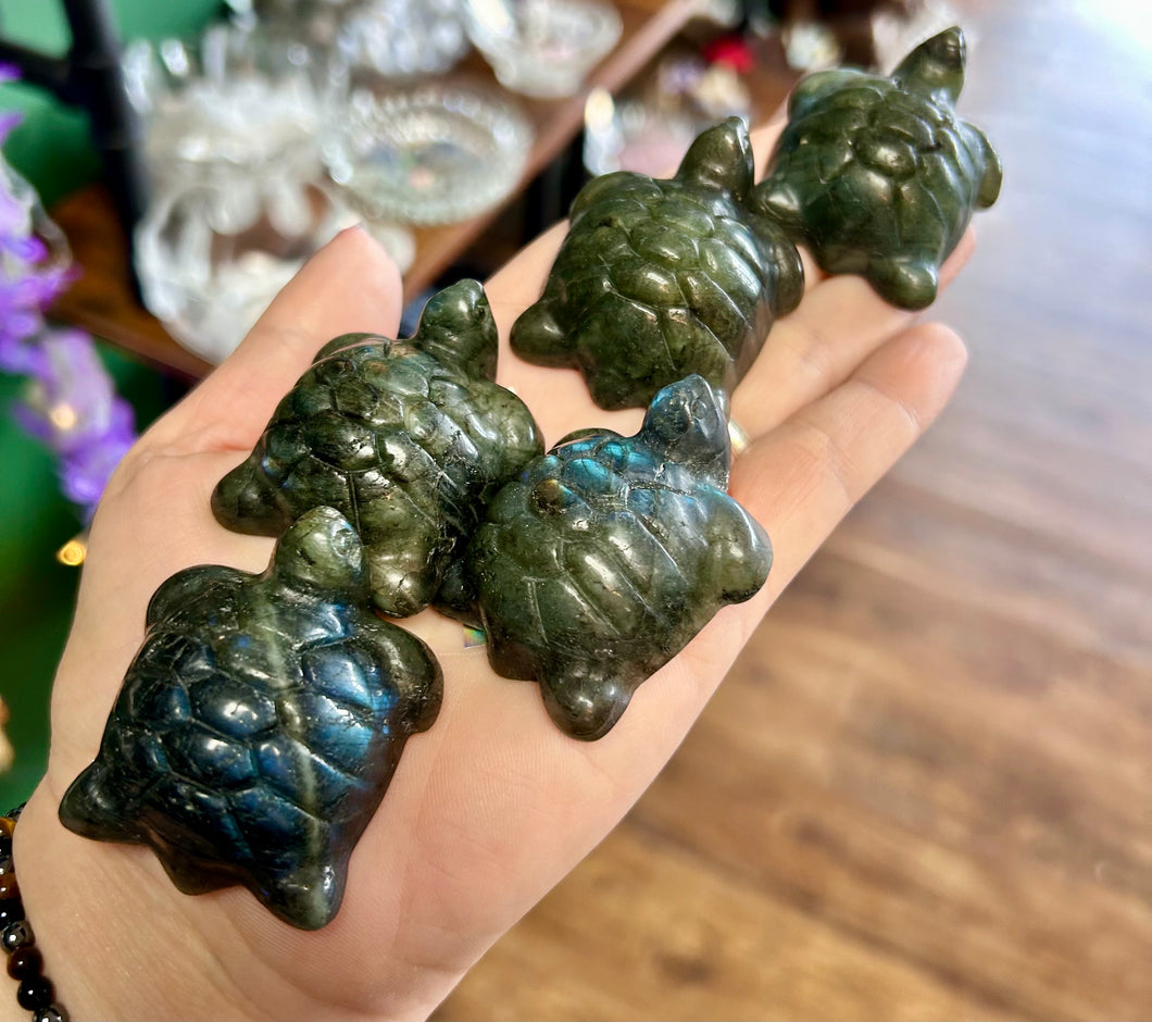 Labradorite turtle